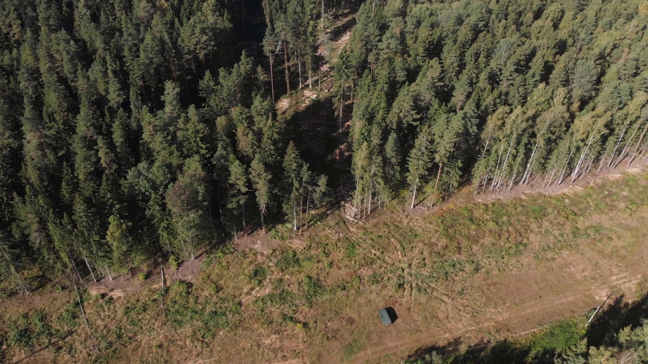 伐木工企业的汽车停在森林附近的空地上。视频素材