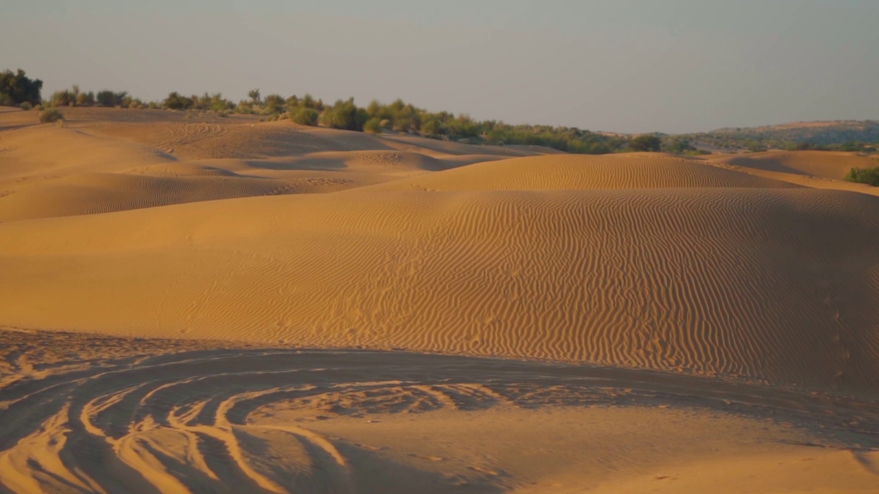 在印度拉贾斯坦邦Jaisalmer的塔尔沙漠拍摄的萨姆沙丘的景观。在沙漠的沙丘上观赏日落。沙漠背景。视频素材