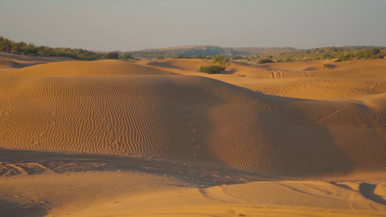 在印度拉贾斯坦邦Jaisalmer的塔尔沙漠拍摄的萨姆沙丘的景观。在沙漠的沙丘上观赏日落。沙漠背景。视频素材