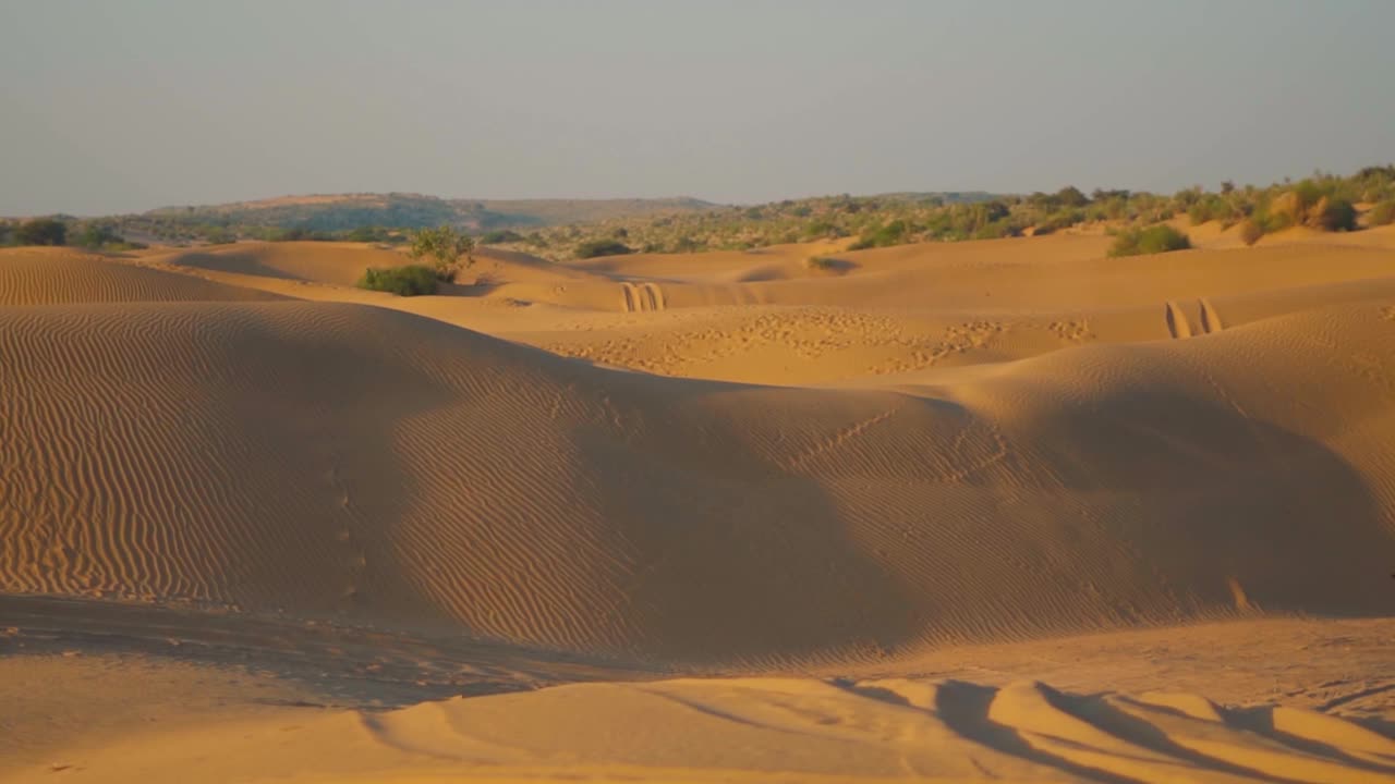 在印度拉贾斯坦邦Jaisalmer的塔尔沙漠拍摄的萨姆沙丘的景观。在沙漠的沙丘上观赏日落。沙漠背景。视频素材