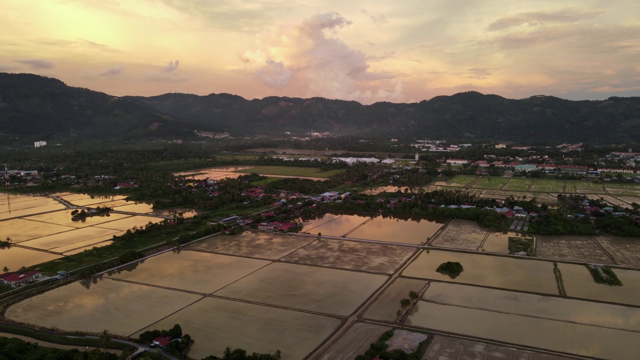 水季稻田的鸟瞰图视频素材