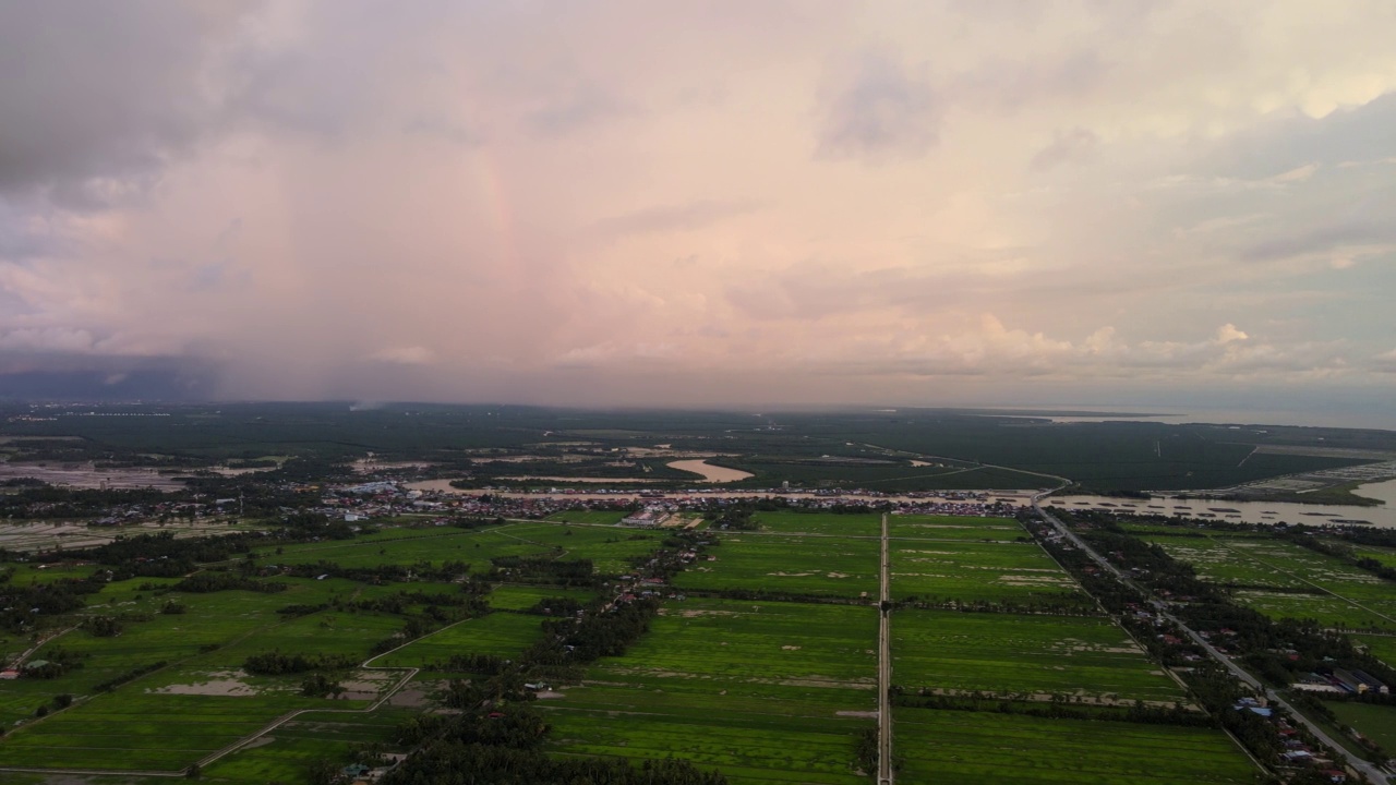 傍晚在稻田上空滑行。视频素材