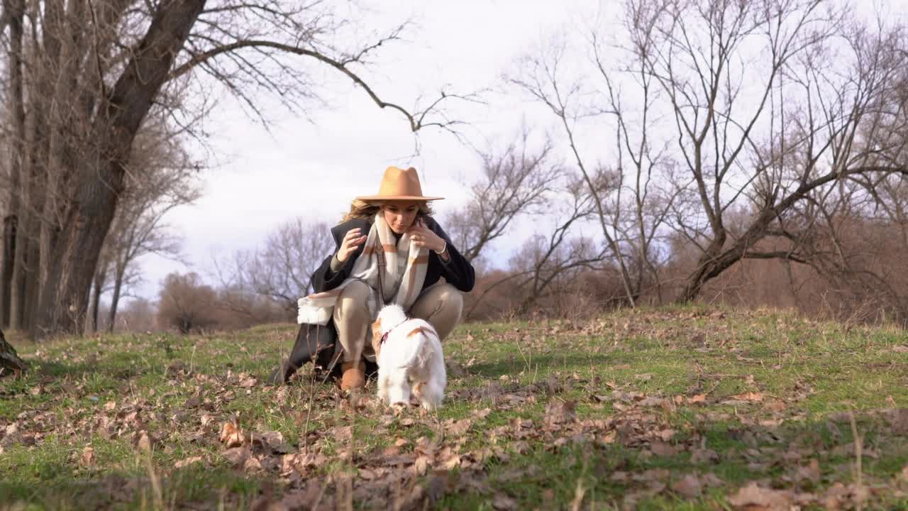 美丽的年轻女子在大自然中与小狗玩耍视频素材