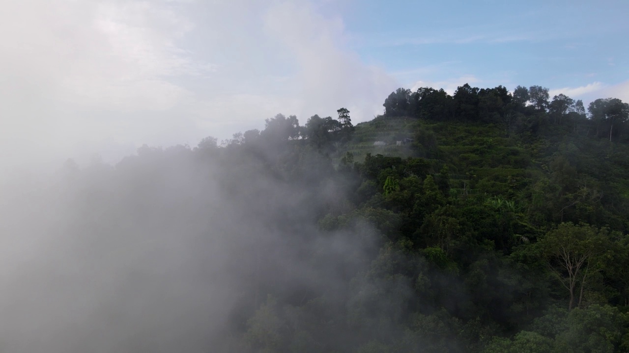 在高原上的绿色种植园上的空中上升视频素材