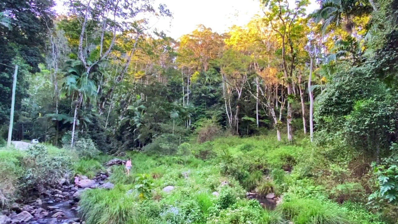 雨林溪- Huonbrook山谷视频下载