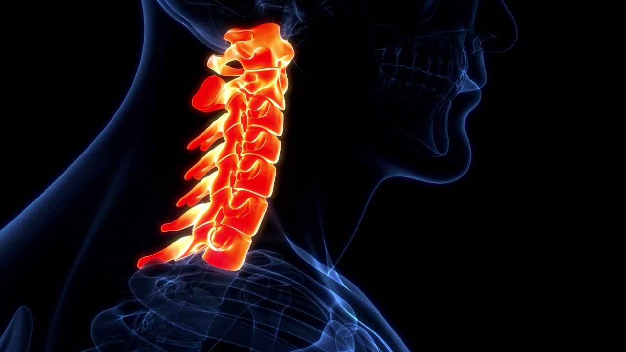 脊髓、脊柱、颈椎人体骨骼系统解剖动画概念视频素材