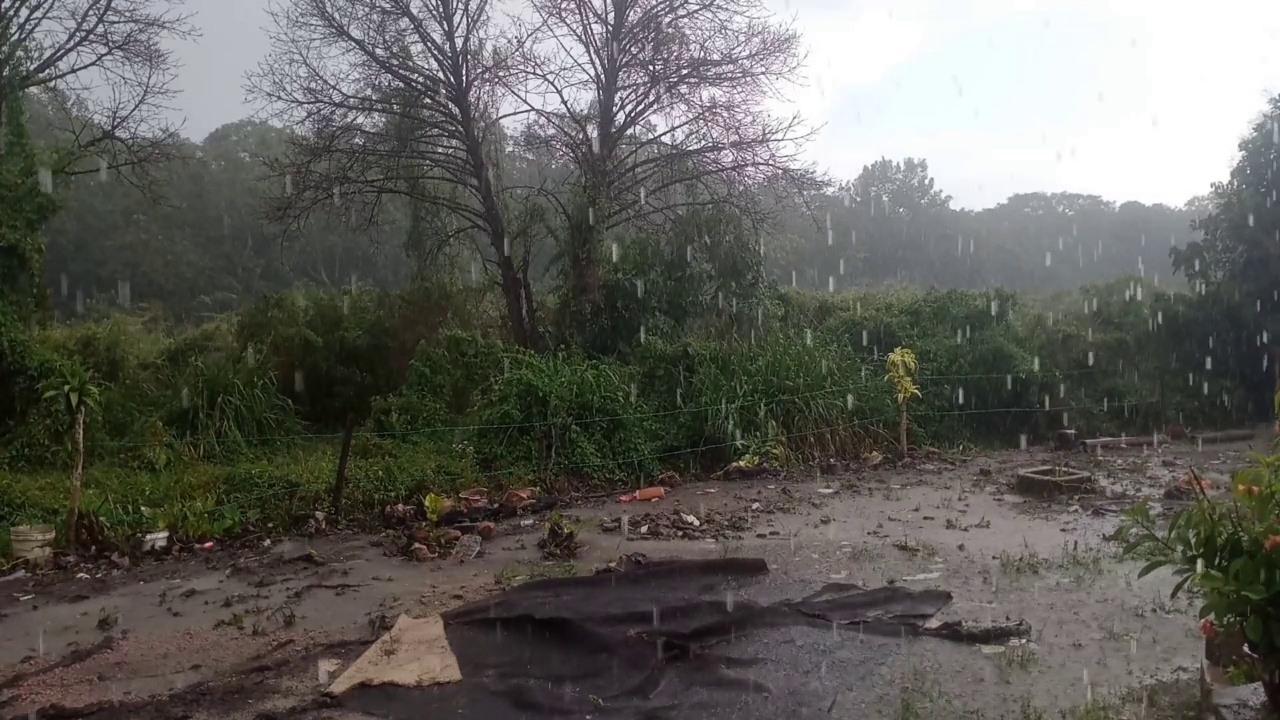 雨天的户外乡村景色视频素材