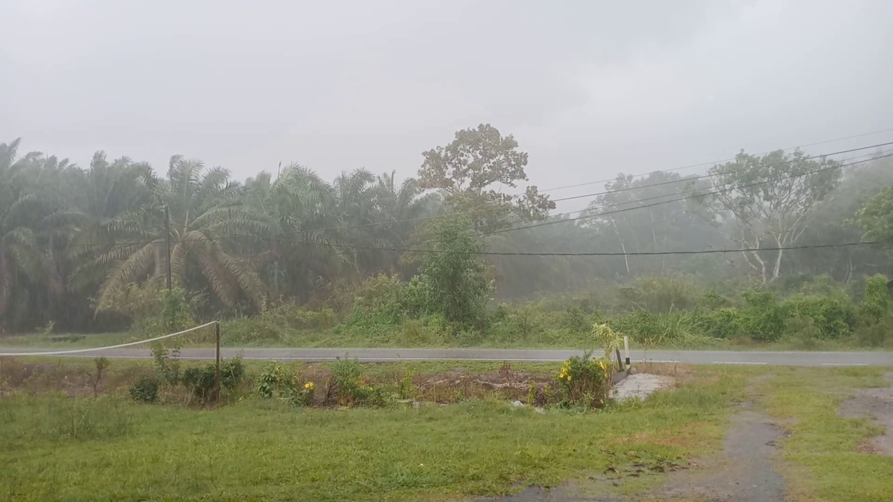 雨天的户外乡村景色视频素材