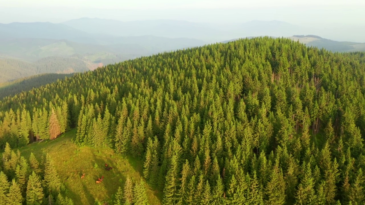 从鸟瞰图上看到的野生山脉的壮观镜头。视频素材