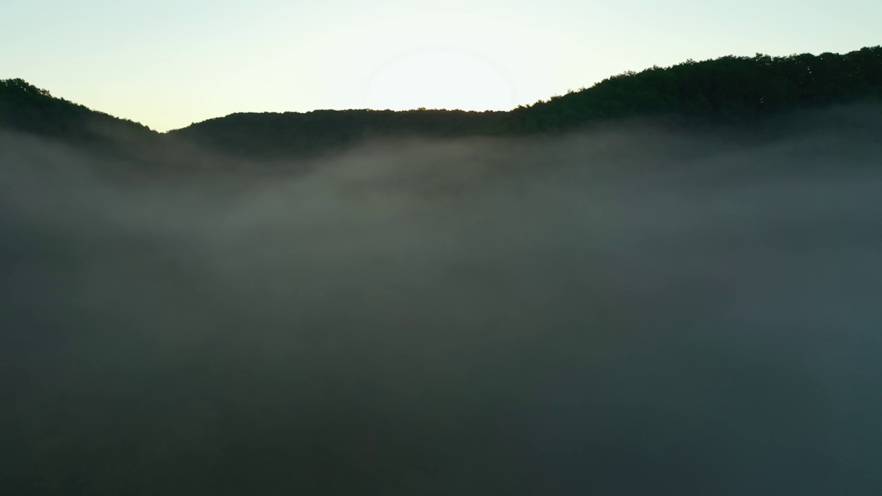 大雾笼罩的清晨森林的壮丽景色。视频素材