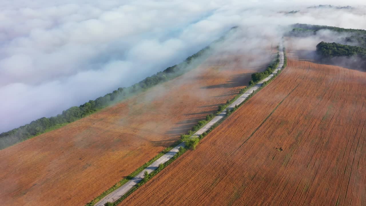 从空中看，乡间小路被晨雾笼罩着。视频素材