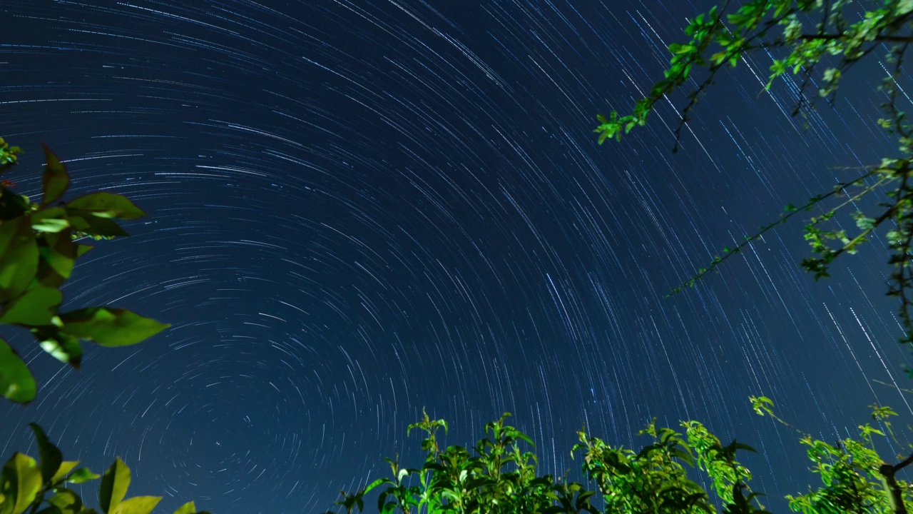 在托斯卡纳的一个果园的夜空中，星星的轨迹的时间推移视频素材