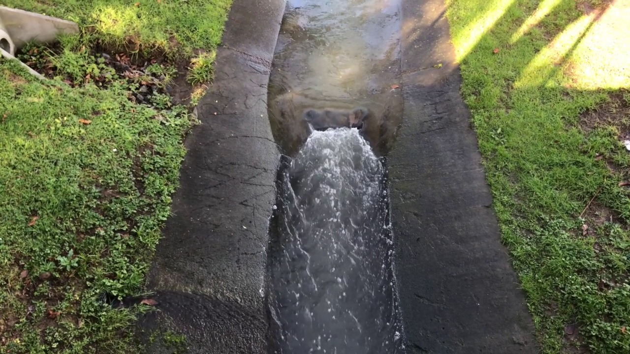 雨水排水沟在长满草的边缘流动视频下载