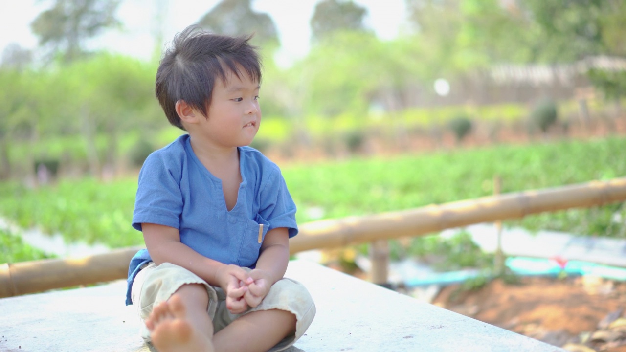 小男孩坐在绿色农场的树下视频素材