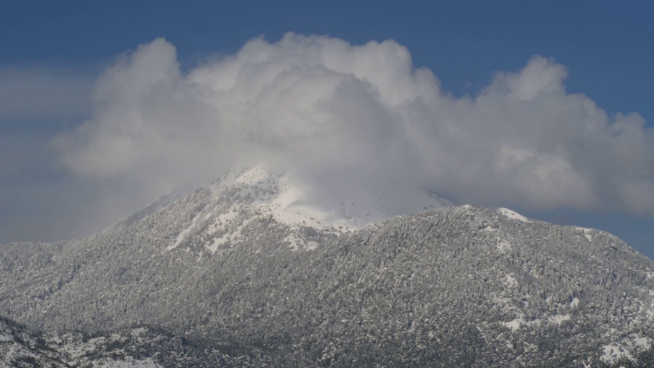 冬季，雪山和松树云移动区域视频素材