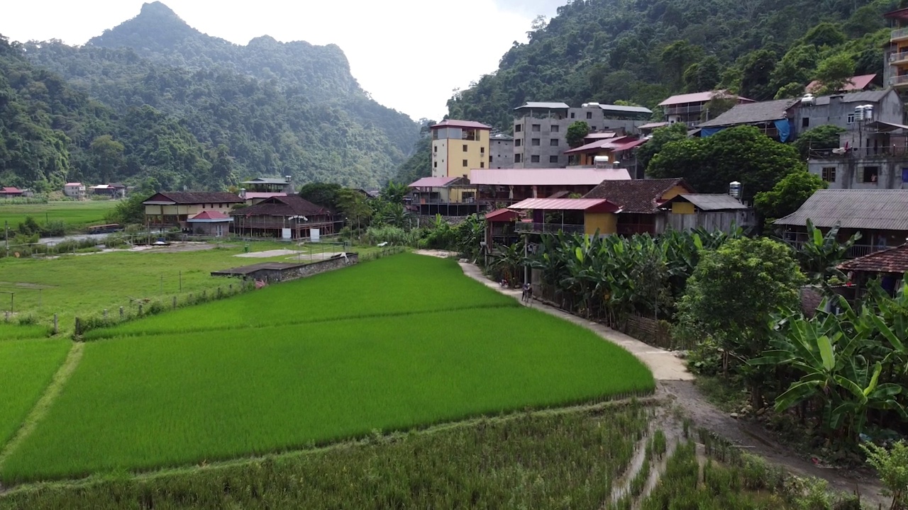 鸟瞰河边、环山、森林的村庄视频素材