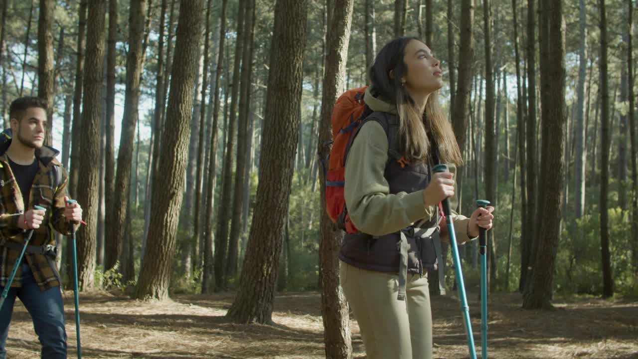 一对年轻的白种人夫妇在阳光明媚的秋日徒步旅行视频素材