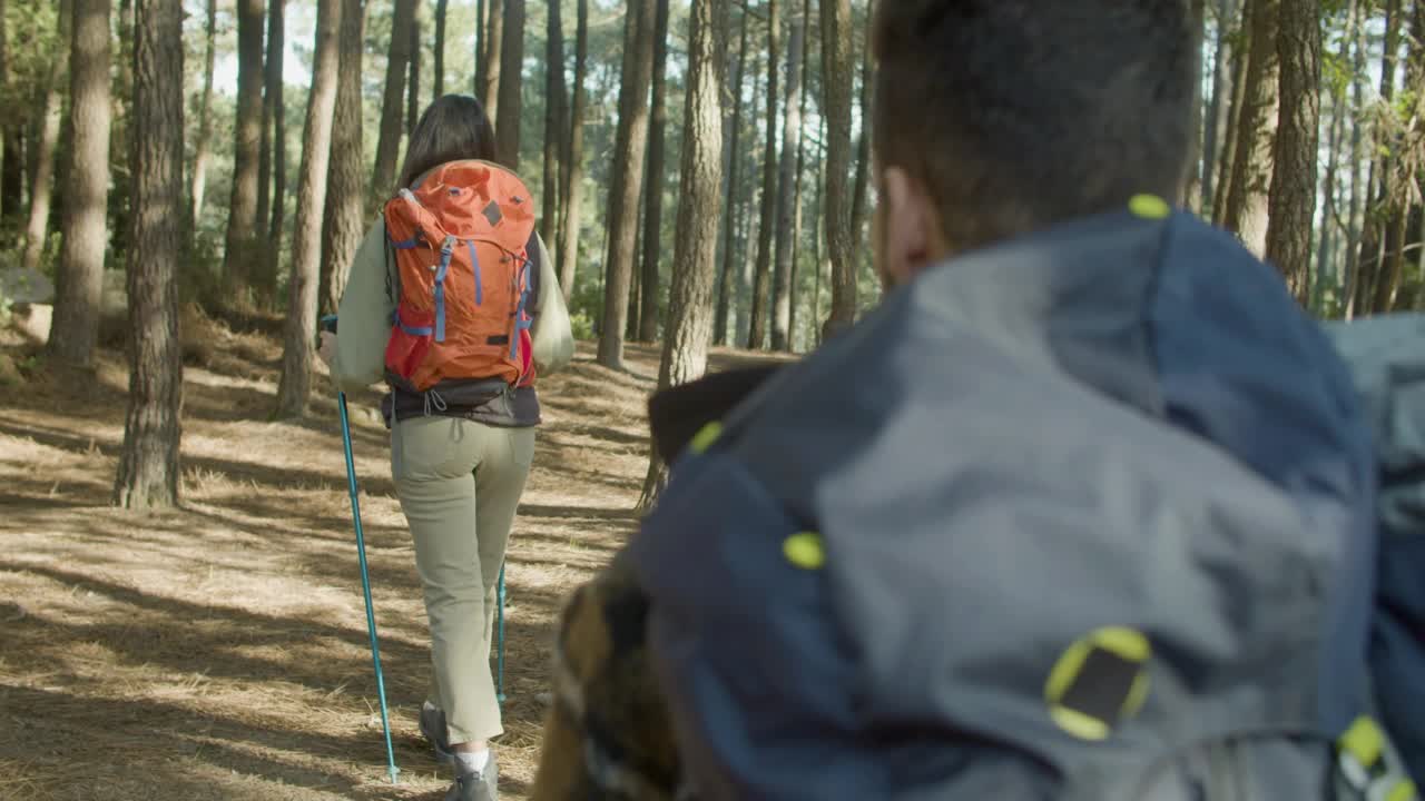 一对年轻的白种人夫妇在松树林中徒步旅行视频素材