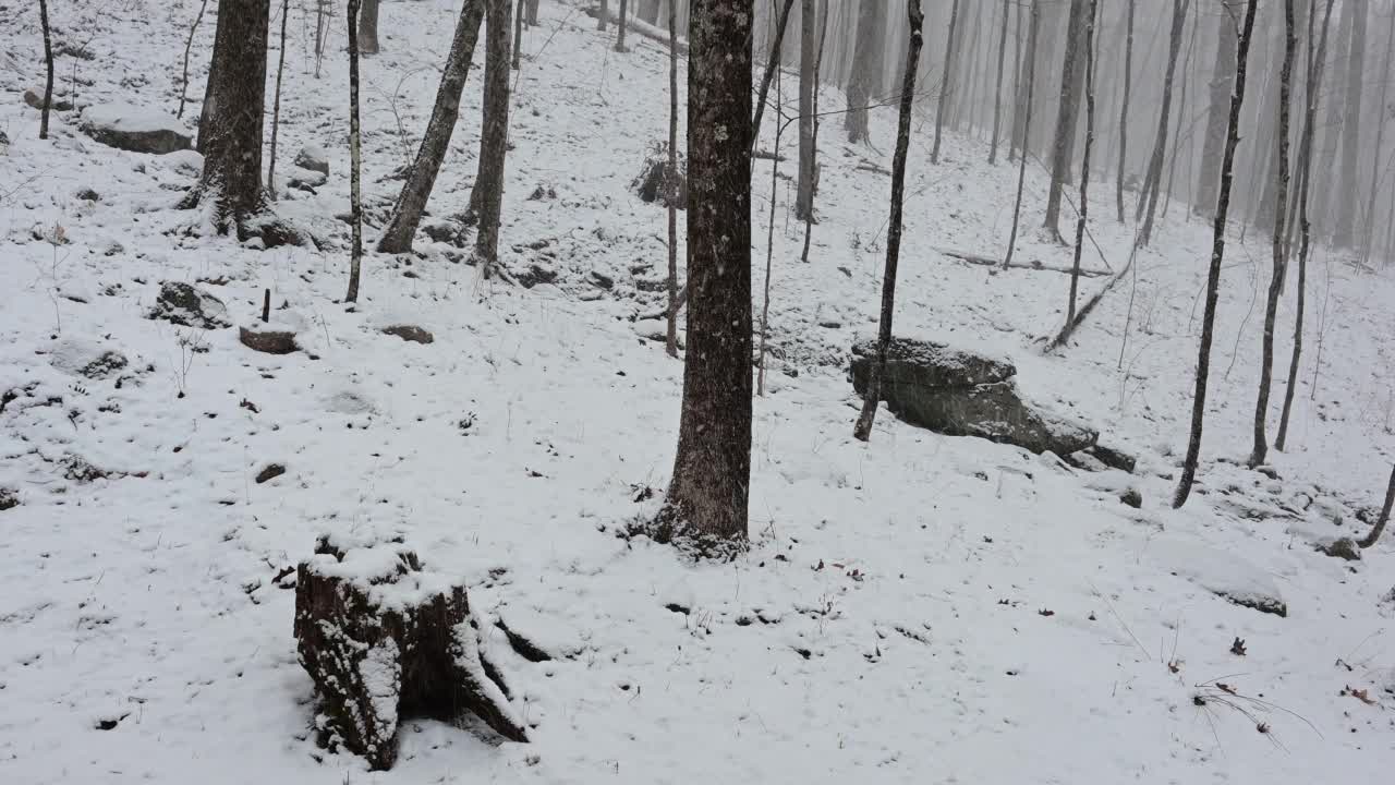 春天的雪视频素材