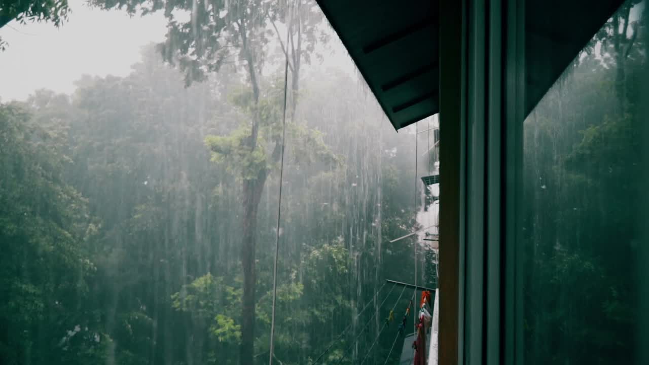 热带雨，气候变化或飓风季节，从窗户看到的景色视频下载