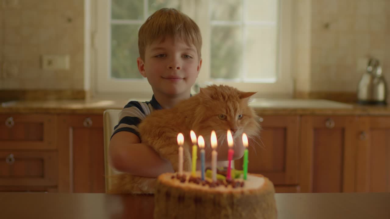 孩子手里拿着红猫数着生日蛋糕上的蜡烛。男孩独自在家庆祝6岁生日。孩子和宠物。视频素材