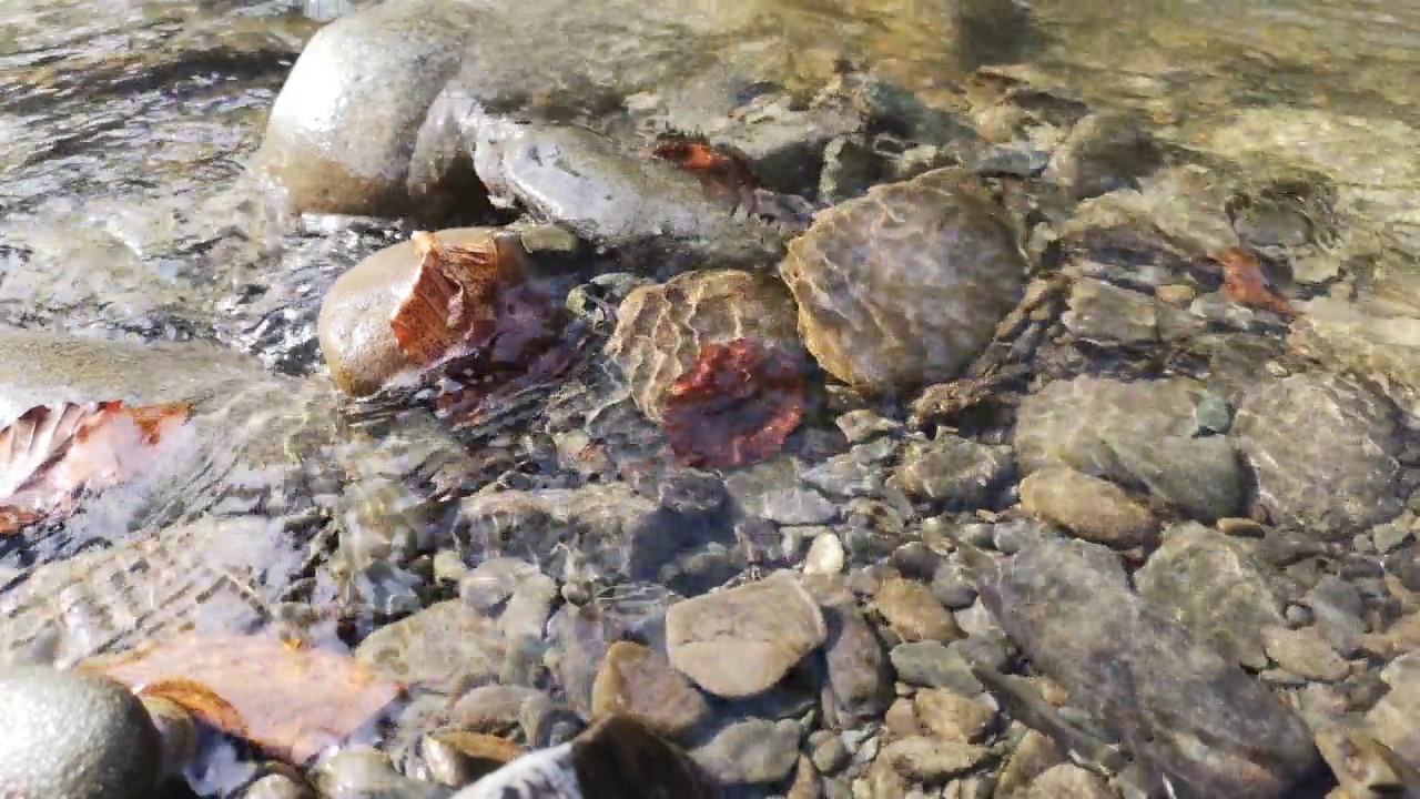 春天清澈透明的山河的水流视频素材