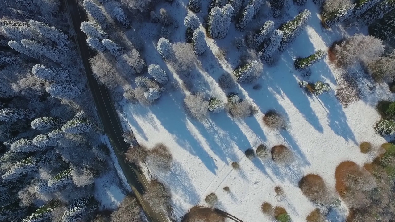 雪中的树和从上面俯瞰的道路视频素材