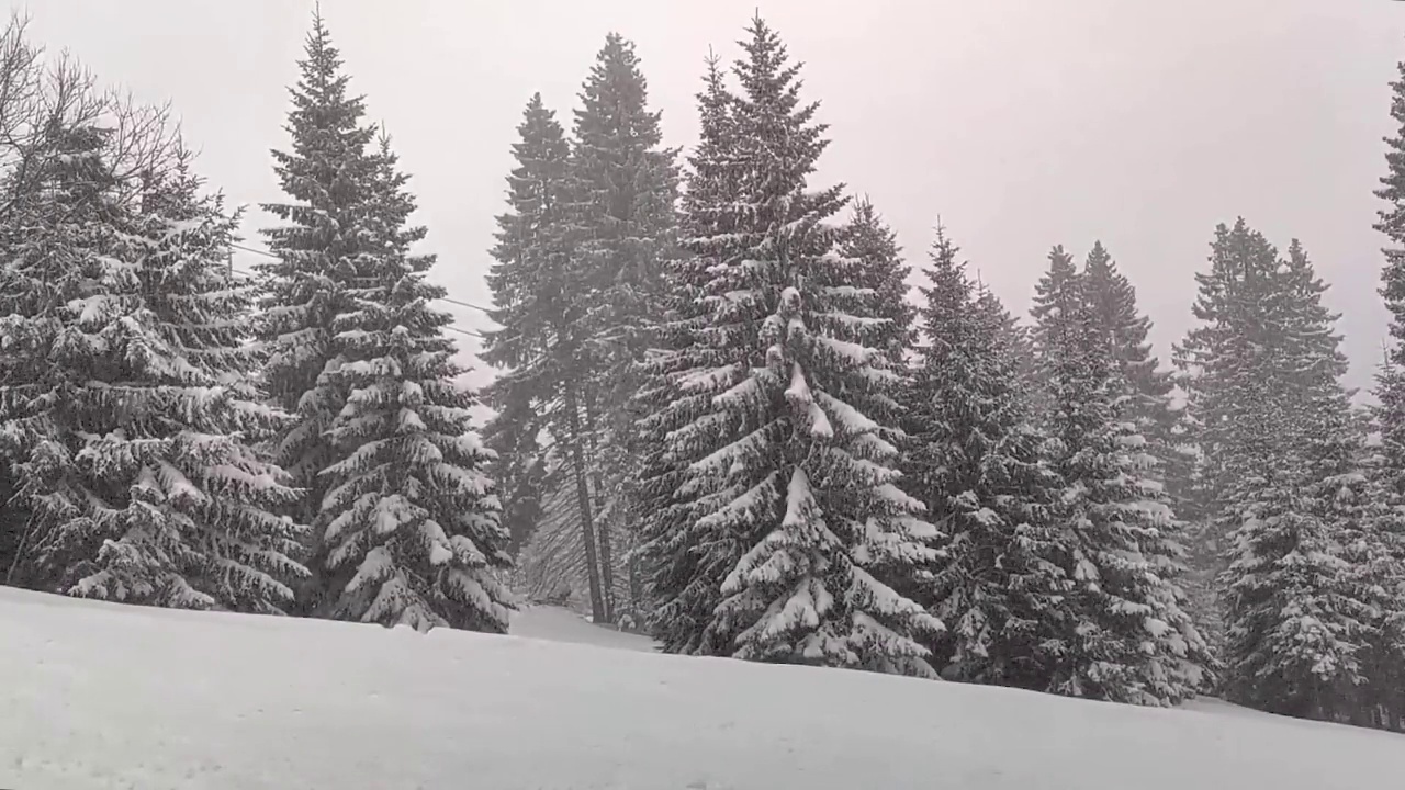 大雪视频素材