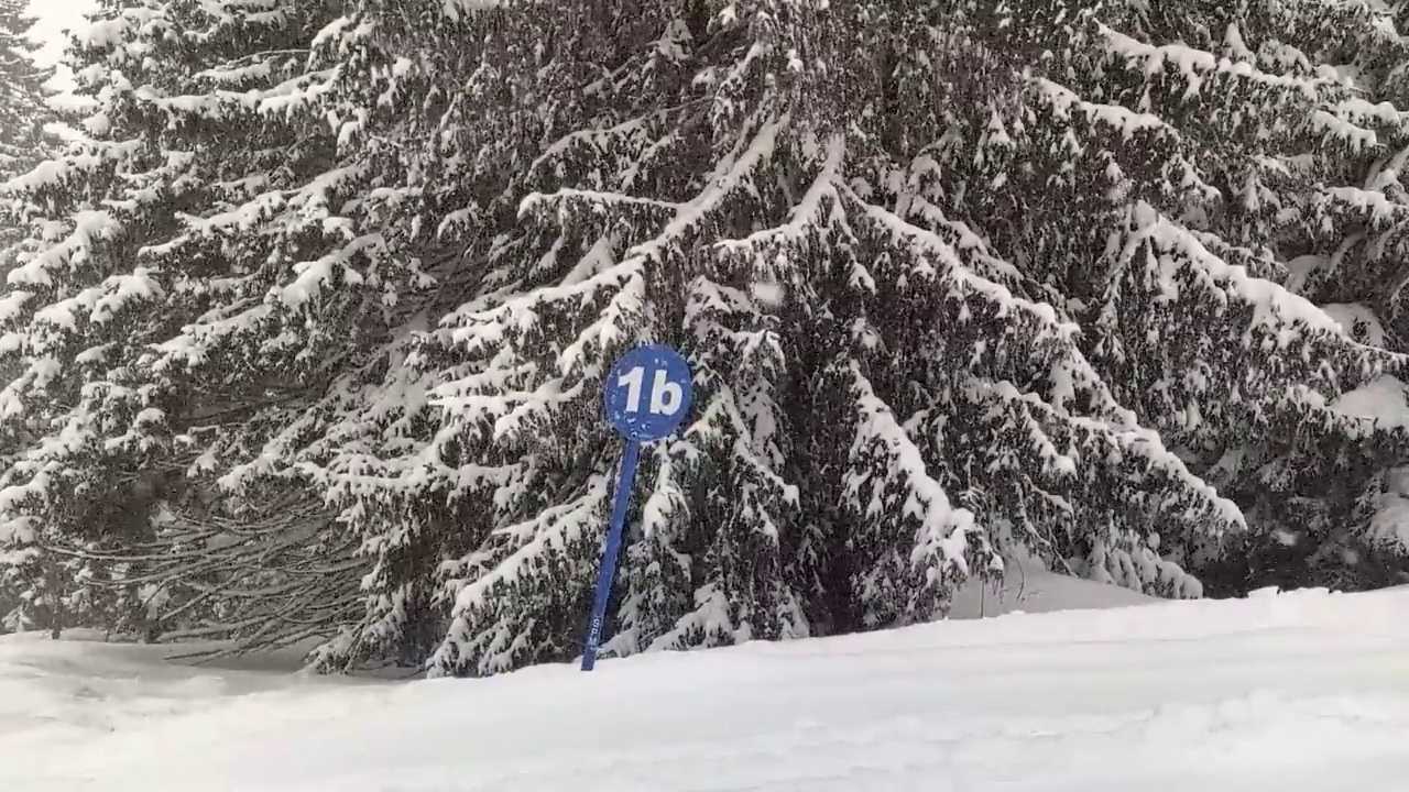 斜坡上大雪视频素材