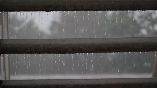 雨视频素材