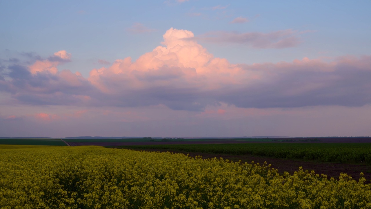 风景如画的油菜地和多云的夜空。视频素材