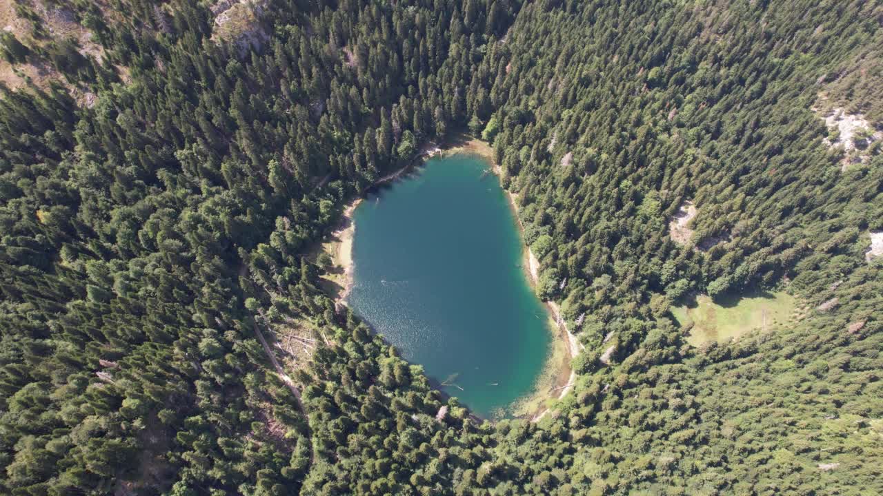 鸟瞰被茂密森林包围的山湖。黑山共和国,欧洲视频素材