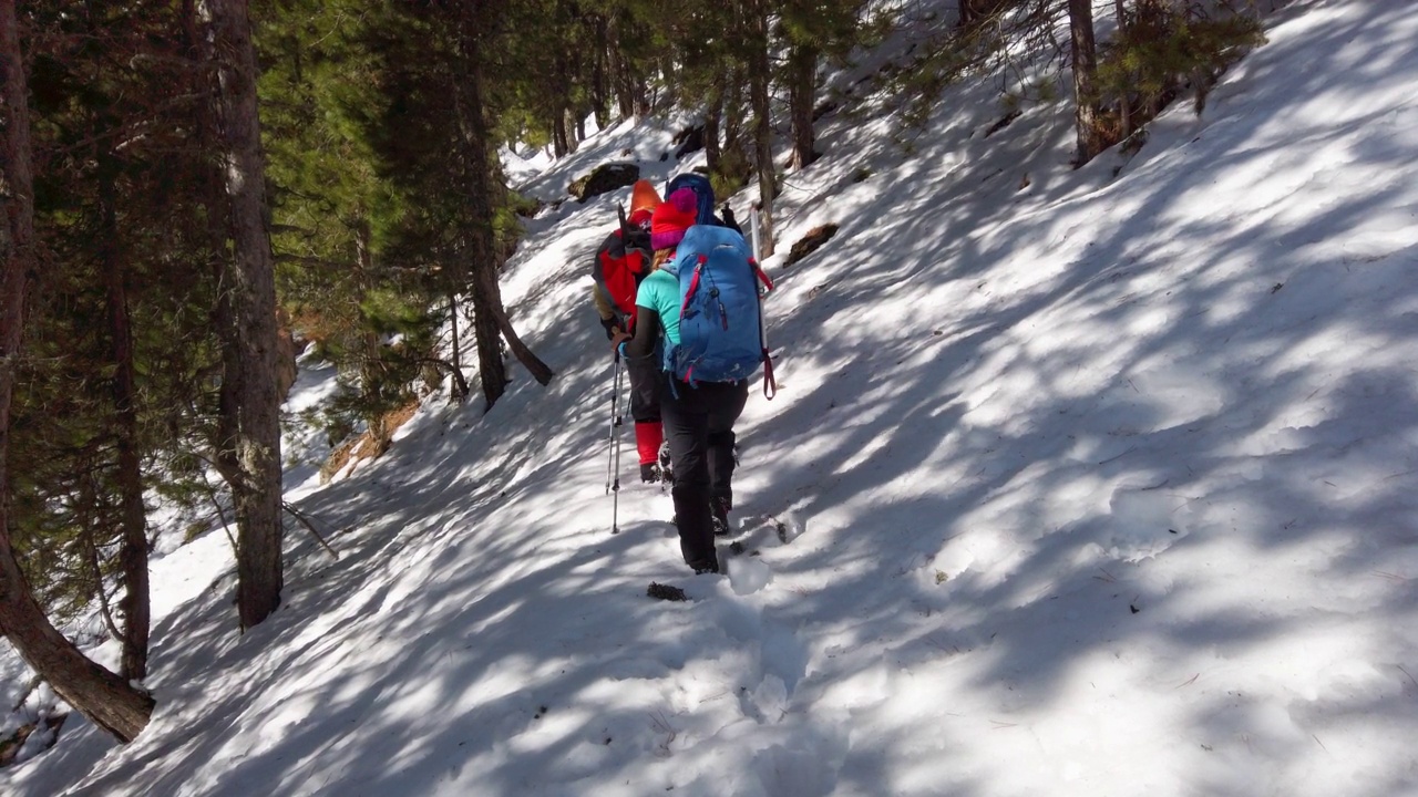 成功的登山队伍是在冬季在高海拔雪山峰顶的山脊上排成一行攀登的队伍视频素材