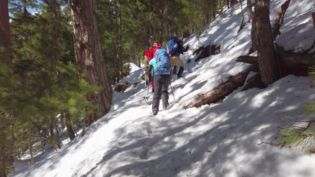 成功的登山队伍是在冬季在高海拔雪山峰顶的山脊上排成一行攀登的队伍视频素材