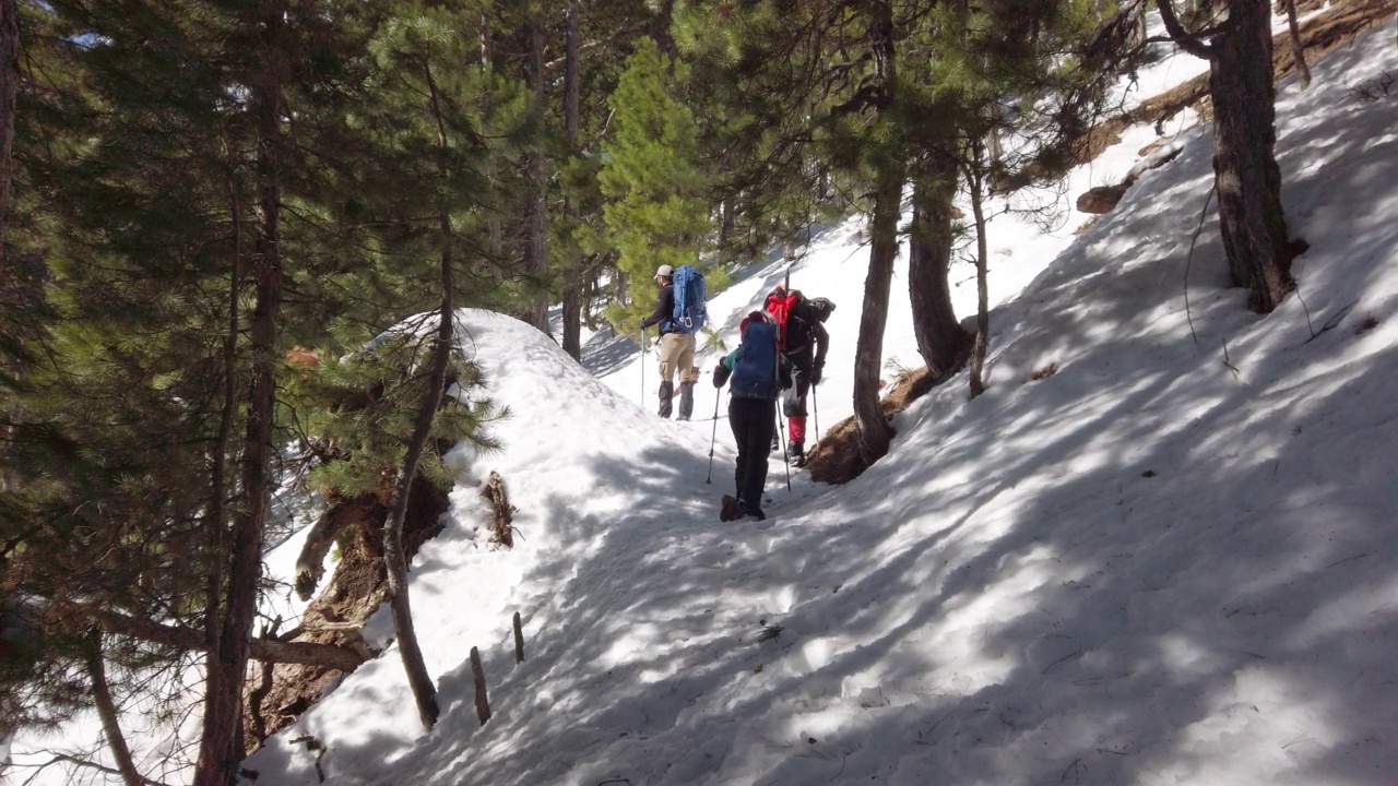 成功的登山队伍是在冬季在高海拔雪山峰顶的山脊上排成一行攀登的队伍视频素材