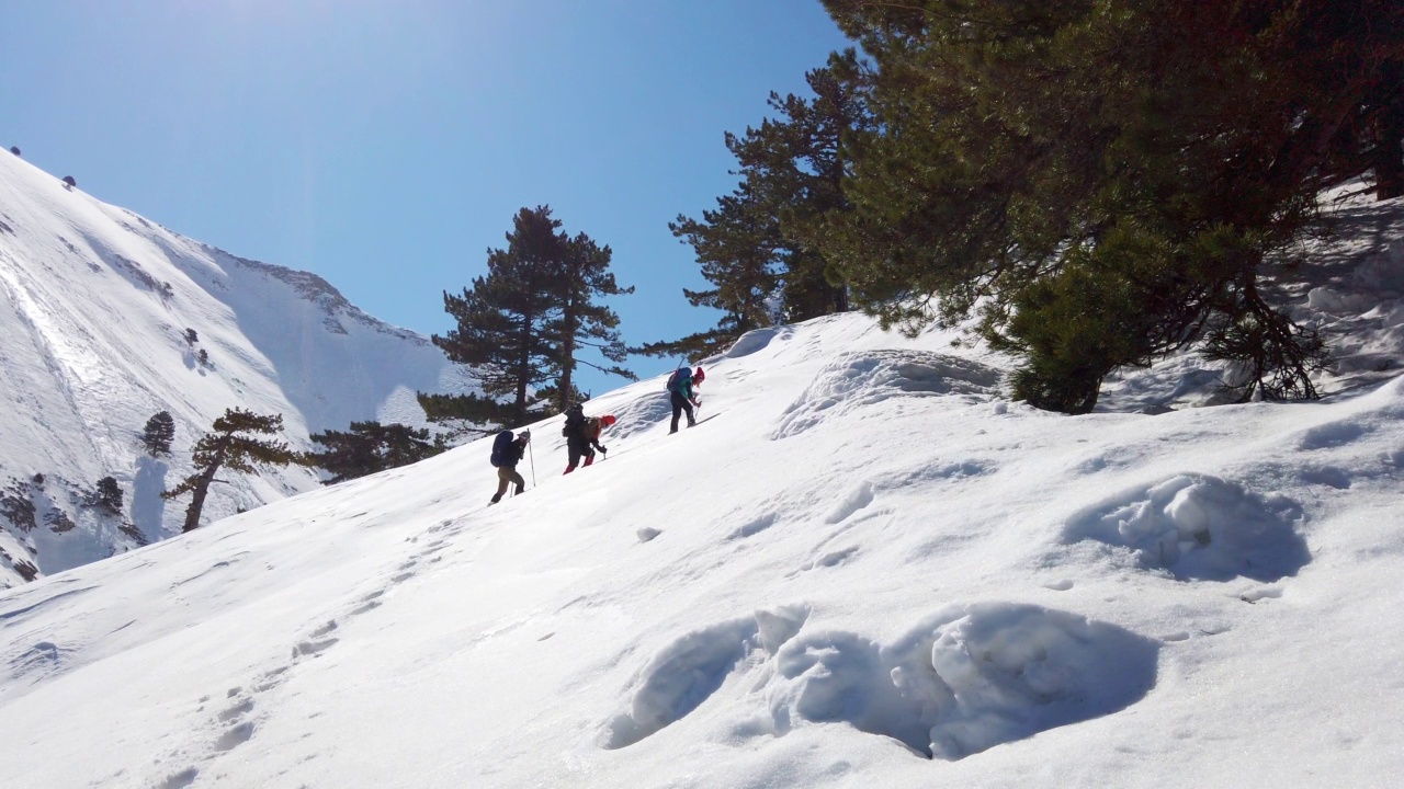 成功的登山队伍是在冬季在高海拔雪山峰顶的山脊上排成一行攀登的队伍视频素材