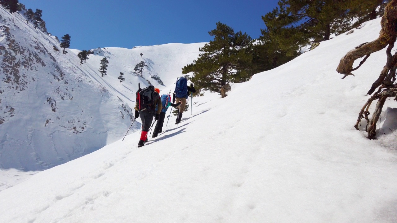 成功的登山队伍是在冬季在高海拔雪山峰顶的山脊上排成一行攀登的队伍视频素材