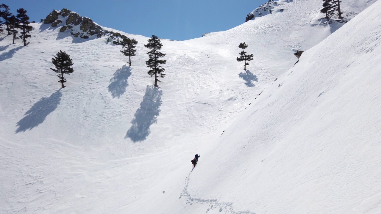 成功的登山队伍是在冬季在高海拔雪山峰顶的山脊上排成一行攀登的队伍视频素材