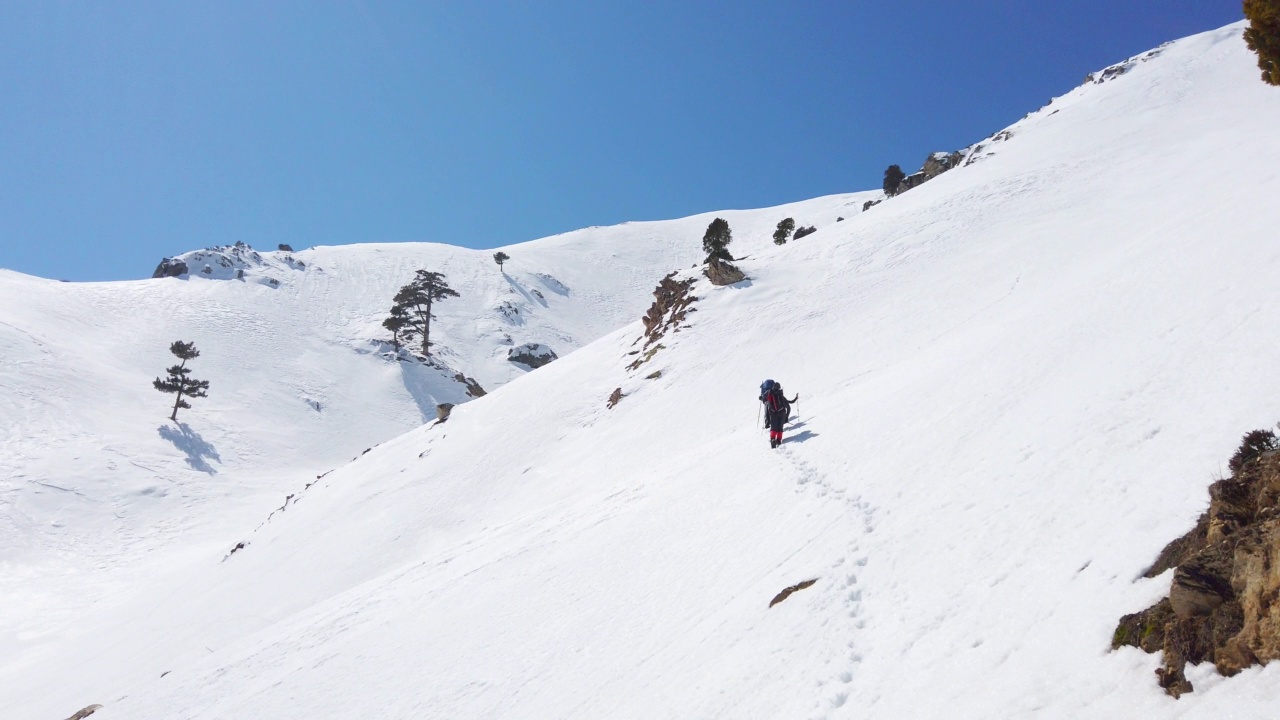 成功的登山队伍是在冬季在高海拔雪山峰顶的山脊上排成一行攀登的队伍视频素材