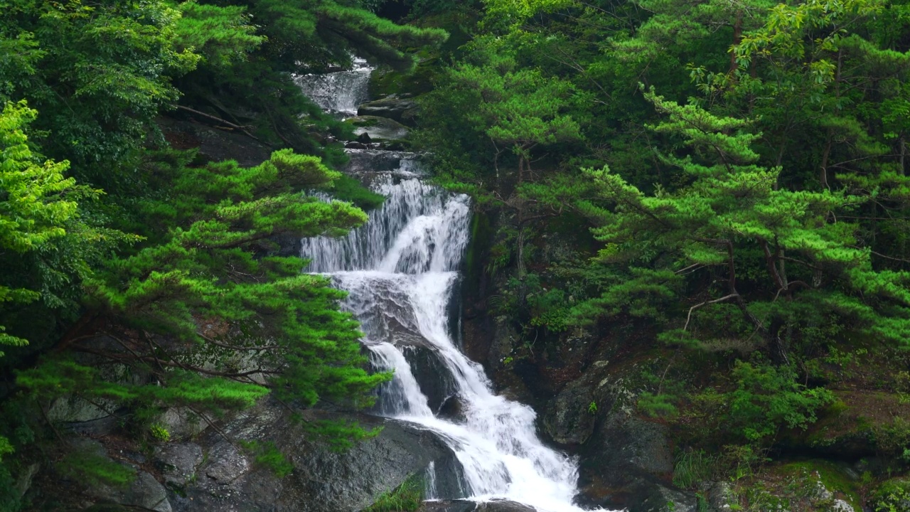 韩国全罗北道南原市智日山的达贡山谷视频素材