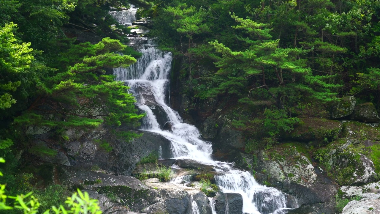 韩国全罗北道南原市智日山的达贡山谷视频素材