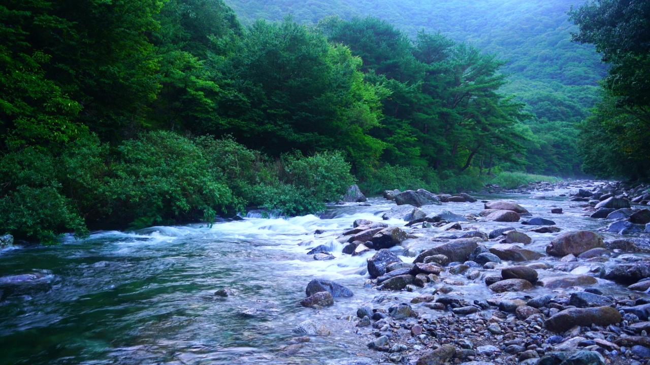 韩国全罗北道南原市智日山的达贡山谷视频素材