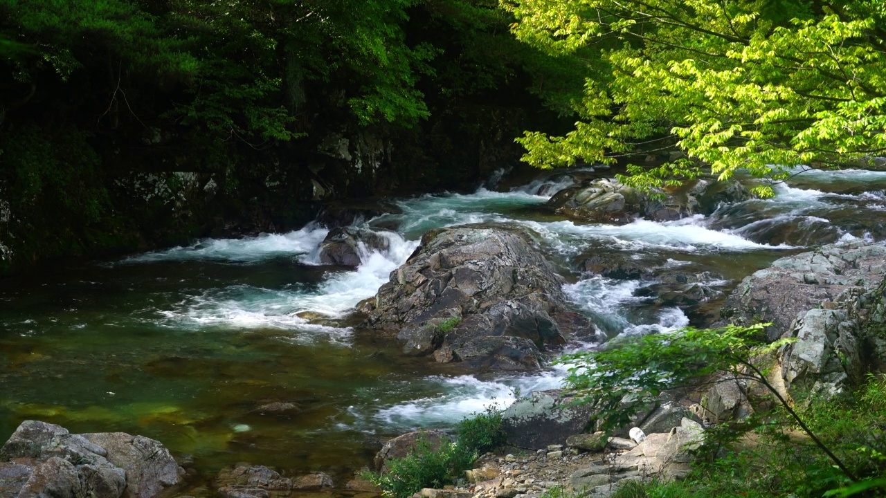 韩国全罗北道南原市智日山的达贡山谷视频素材