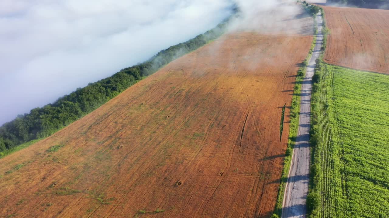 从空中看，乡间小路被晨雾笼罩着。视频素材