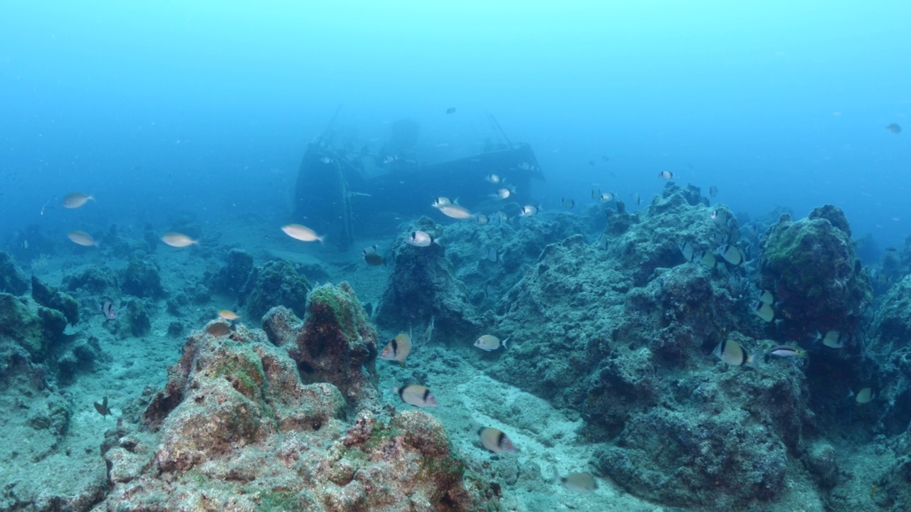 沉船在海底沉船在海底立金属在海底视频素材