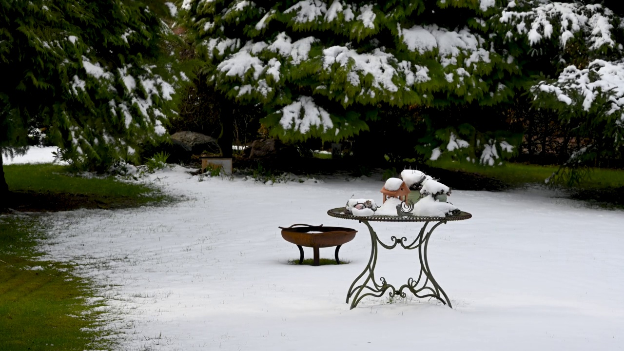 花园里融化的雪的延时视频。视频素材