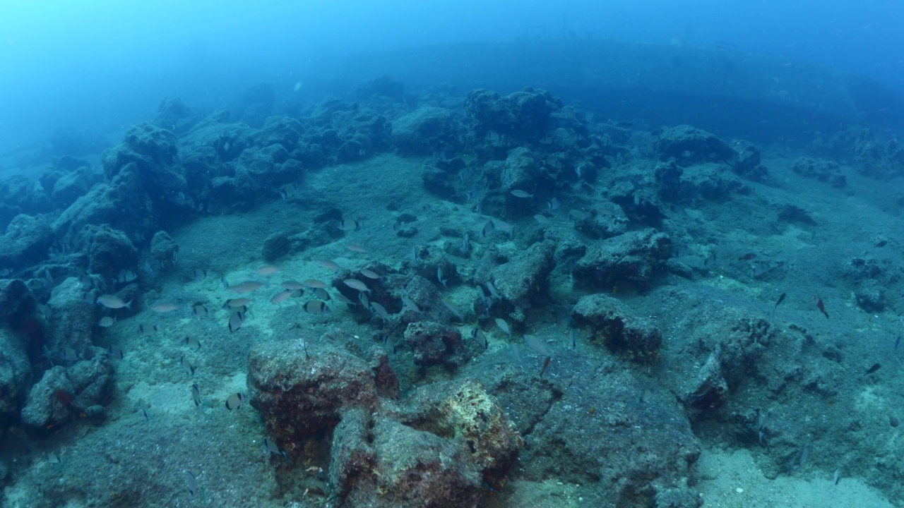 海底沉船站在海底金属潜水器看到的海底沉船视频素材