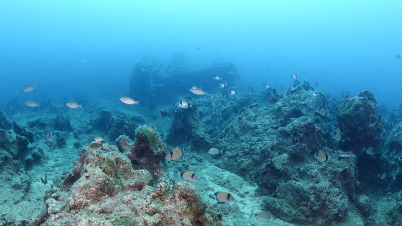 海底沉船站在海底金属潜水器看到的海底沉船视频素材