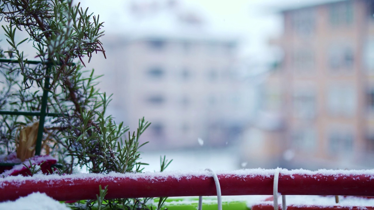 郊区的降雪视频素材