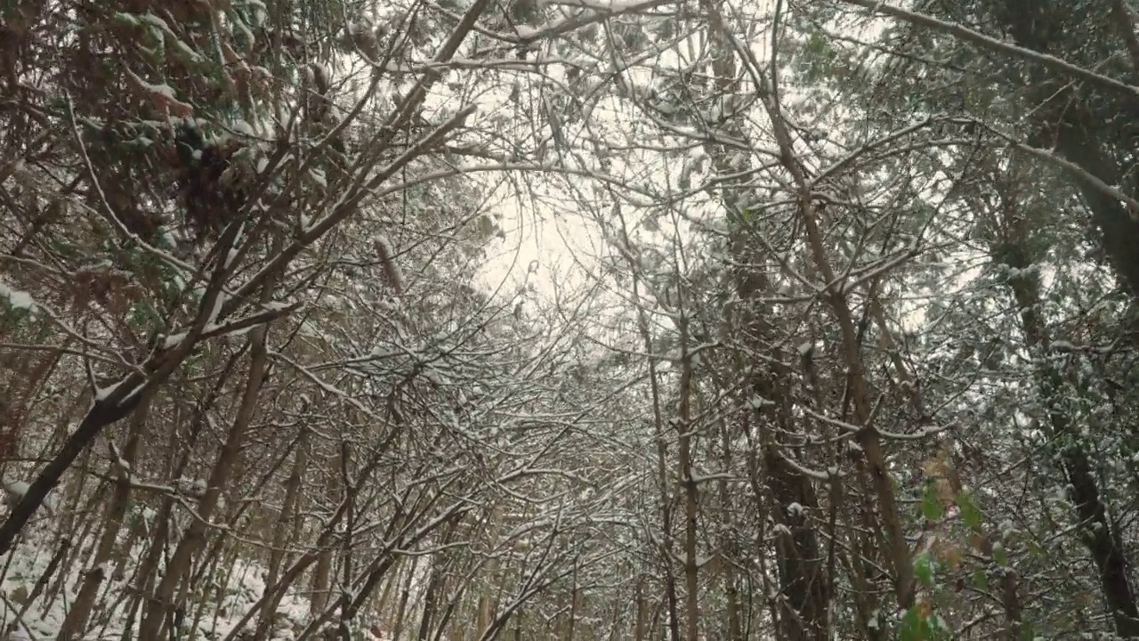 走在雪后的山上视频素材